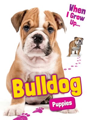 cover image of Bulldog Puppies